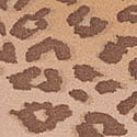Light Brown Leopard