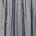 Medieval Blue
