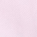 Pink Tulip