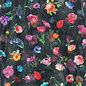 MEADOW DREAM