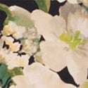 LIZ FLORAL