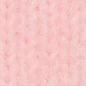 Pink Tulip