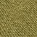 Lizard Green