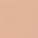 Praline