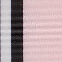 Pink And Black Stripe