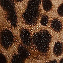 Leopard Print