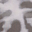 Grey Leopard