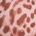 Angel Pink Leopard