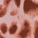 Angel Pink Leopard