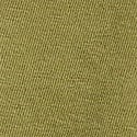 Lizard Green