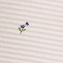 Coconut White Floral