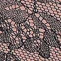 Lace Print