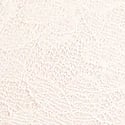 Winter White