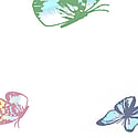 White Multicolor Butterfly