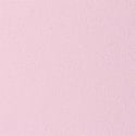 Pink Tulip