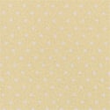 Whipped Butter Dottie