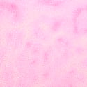 Coconut Pink Leopard