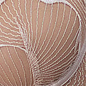 Pearl Pink/Sheer