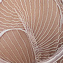 Pearl Pink/Sheer