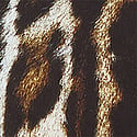 Print
