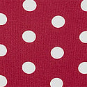 Coin Dot C02