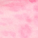 Pink Leopard