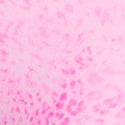 Pink Leopard