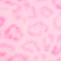 Pink Leopard