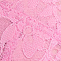 Pink Sugar