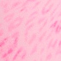 Pink Leopard