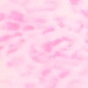 Pink Leopard