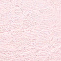 Pink Tulip