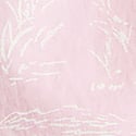 Pink Jungle Toile