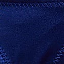 Fantasia Blue