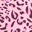 Pink Leopard