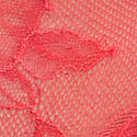 Hot Coral