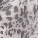 Grey Leopard