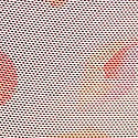 Bliss Seashell Print