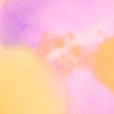 Hazy Hibiscus