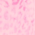 Pink Leopard