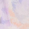 Soft Abstract Zebra