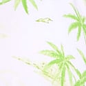 Tropical Toile Limesicle