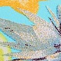 Aqua Chill Fruit Print
