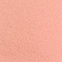 Neon Apricot