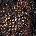 Sex-Ray Black