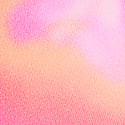 Candy Pink Hibiscus Print
