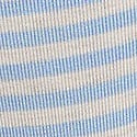 Heather Blue Dancer Stripe Print