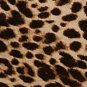 Vintage Leopard