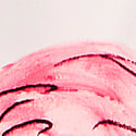 Coconut White Flamingos