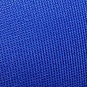 Fantasia Blue